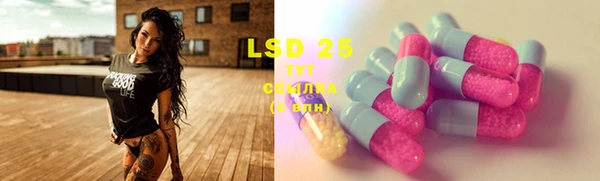 PSILOCYBIN Беломорск