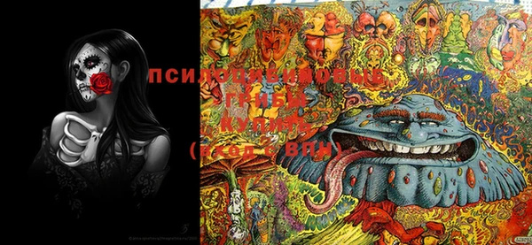 PSILOCYBIN Беломорск