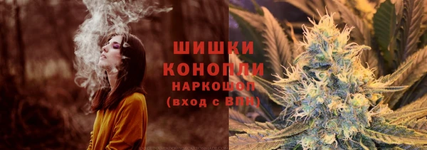 PSILOCYBIN Беломорск